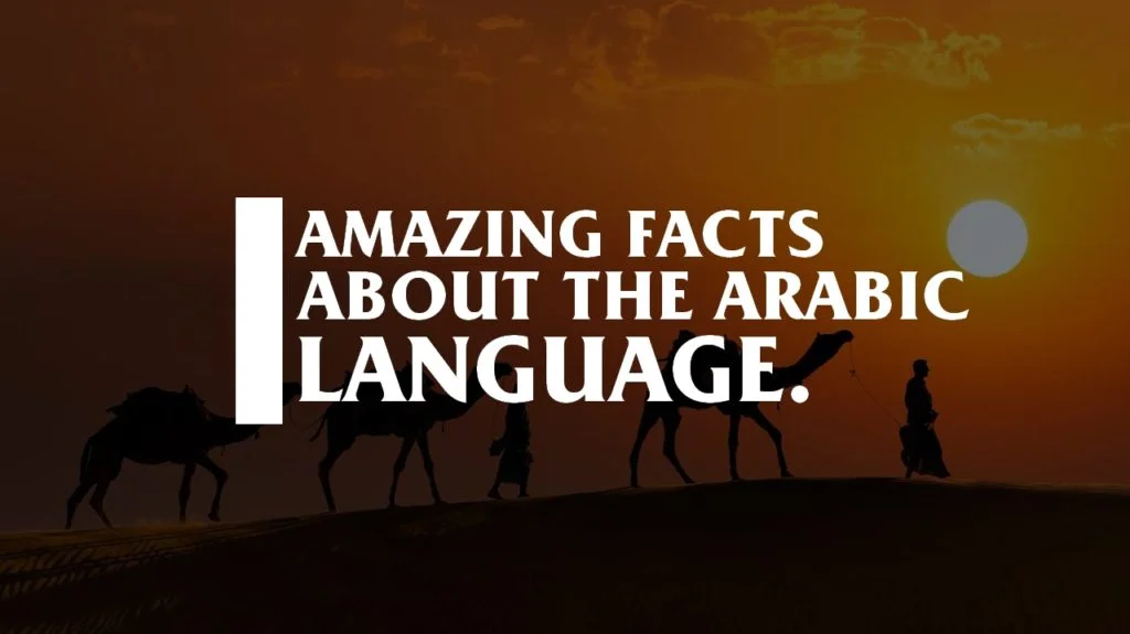 Amazing facts about Arabic.