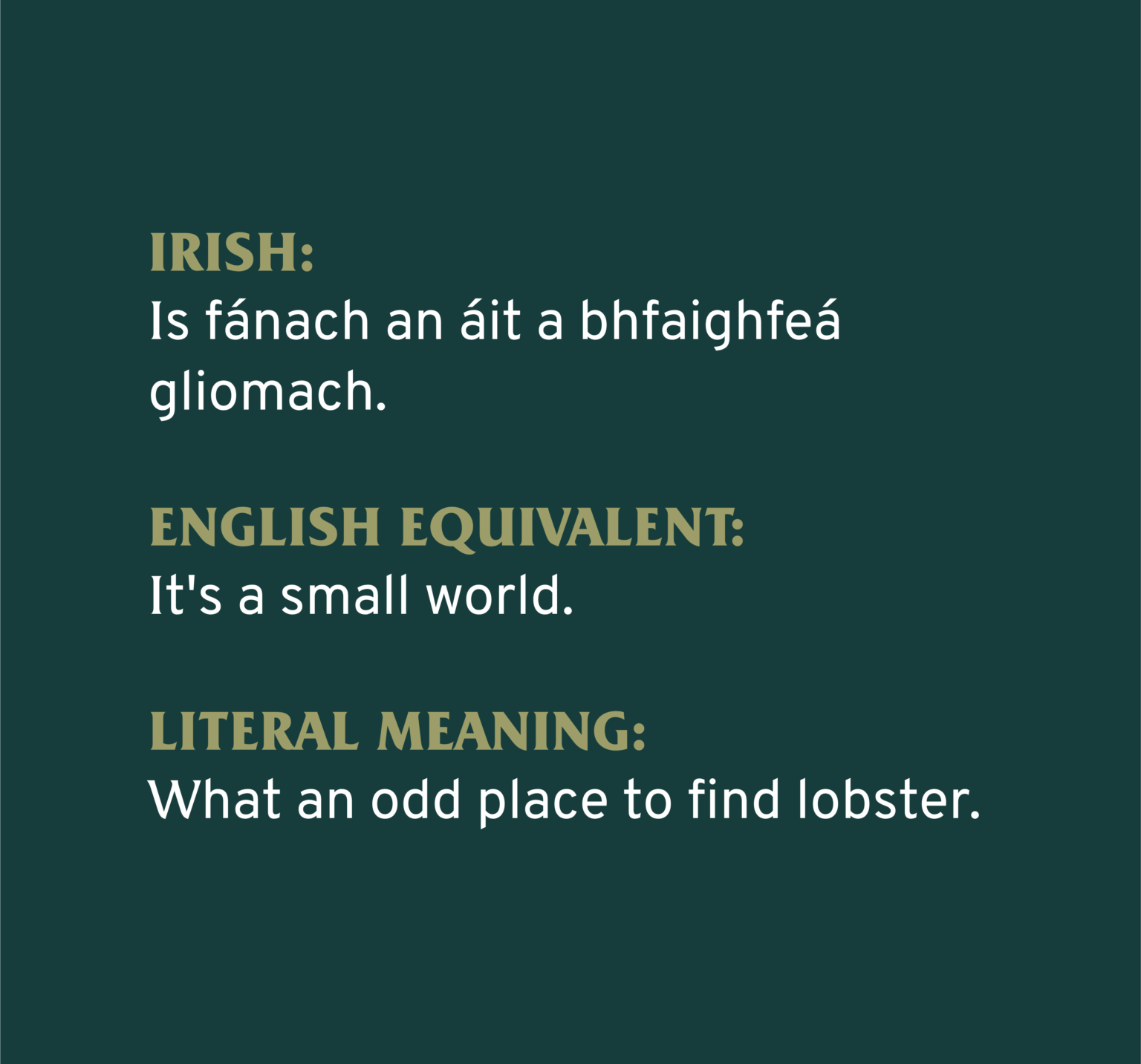 27 Hilarious Non English Phrases And Their Literal Meanings The