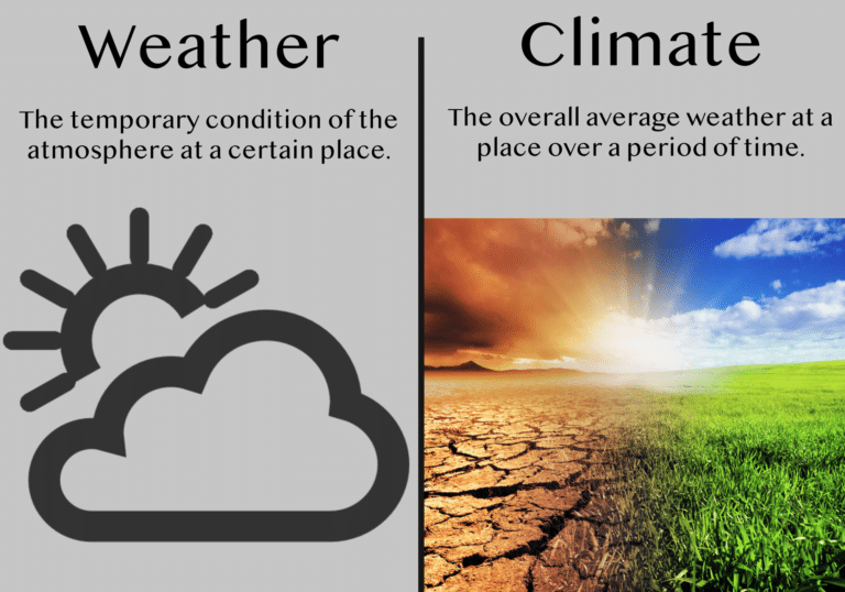 24 Things Most People Think Are The Same But They Are Actually Different.