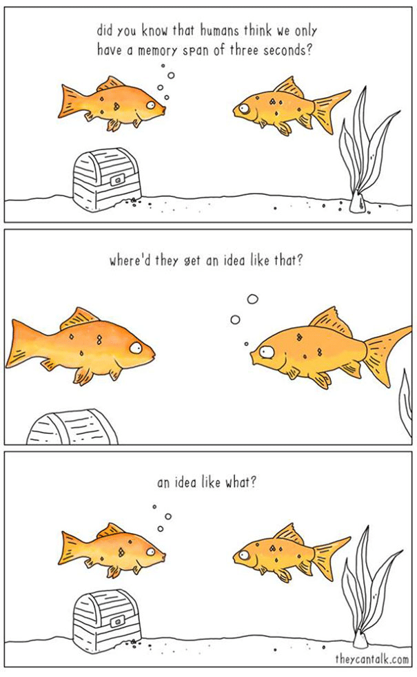 If Animals Could Speak, Here is What They Would Say. |