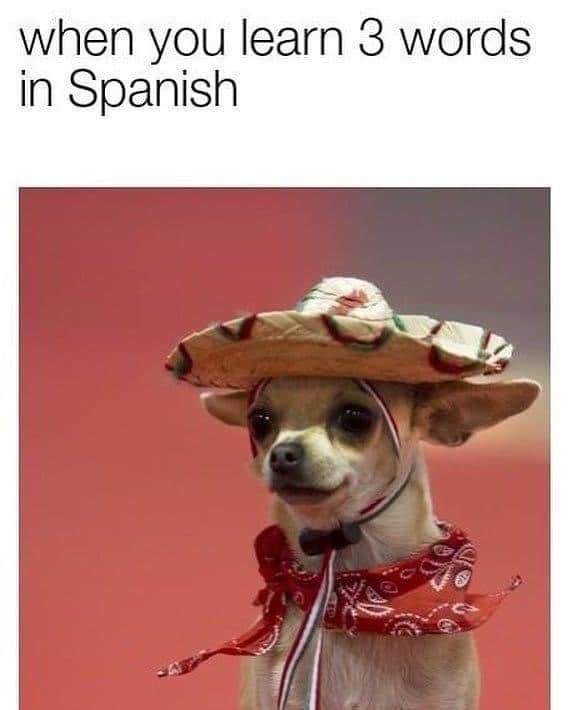 26 Hilarious Reasons Why The Spanish Language Is The Worst The