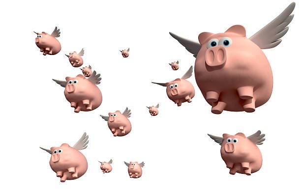 how-different-languages-say-when-pigs-fly-the-language-nerds