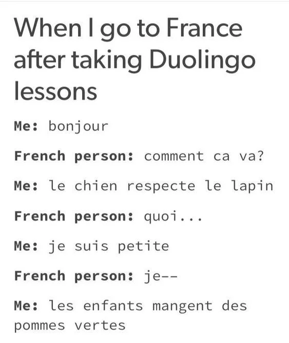 funny duolingo meme
