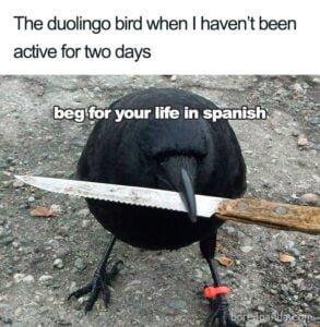 24 Duolingo Memes and Jokes That Will Make You Chuckle. | The Language